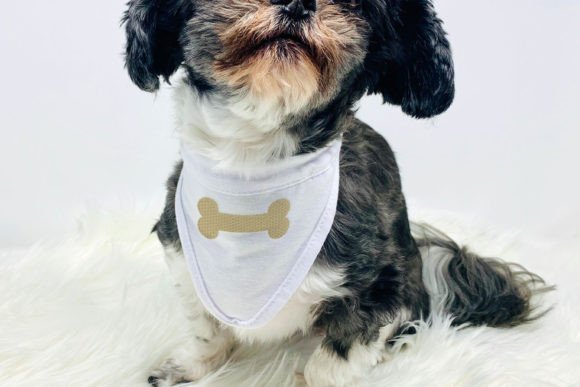 Dog Bone Mini Embroidery Review